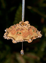 ombrela1