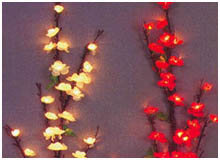 led picture